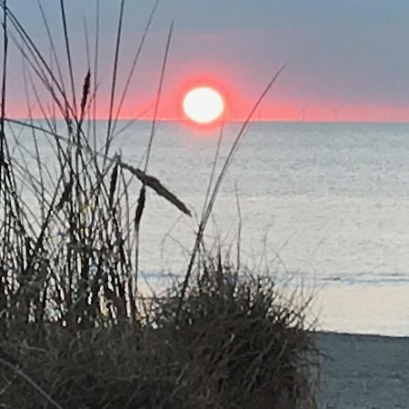 Het Zonnetje Leilighet Zandvoort Eksteriør bilde