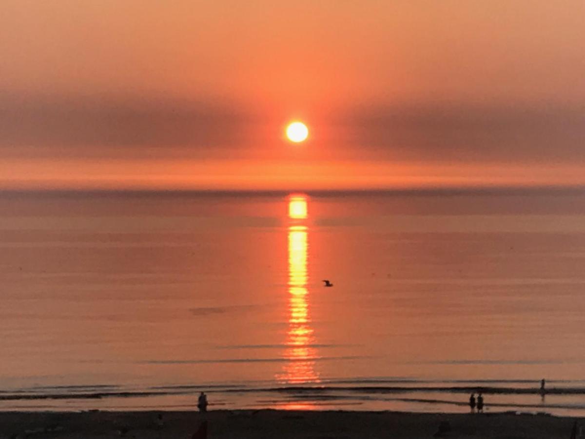 Het Zonnetje Leilighet Zandvoort Eksteriør bilde